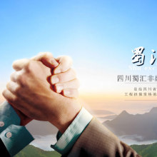 四川蜀匯非融資性擔保有限公司 融資性擔保服務的專業(yè)解析